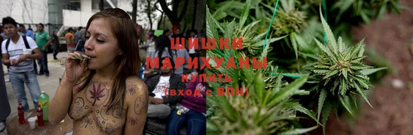 скорость Лиски